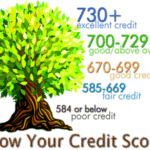 A large leafy tree with a trunk and roots, with credit scores going up the side and increasing in number.
