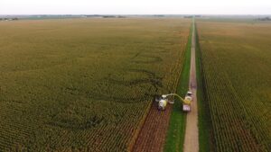 Getting Ready for Corn Silage Harvest