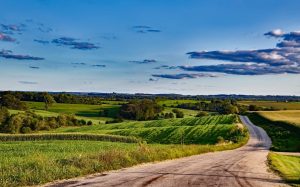 Getting Started with Stewardship – Field Day