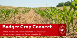 Badger Crop Connect Webinar Series Returns!